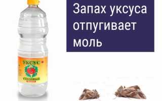Как избавиться от фруктовой или пищевой моли на кухне?