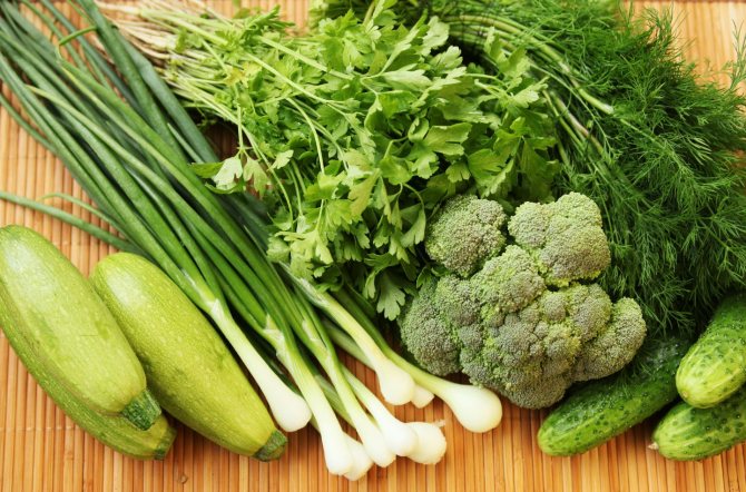 кабачки, зеленый лук, брокколи, пучок зелени